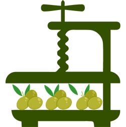 pressa olive macina olio extravergine