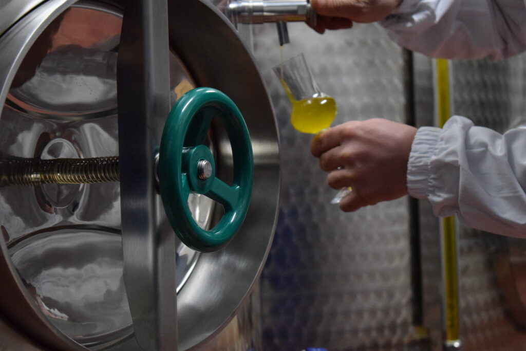 Olio Extravergine di oliva pregiato e sano Olio Extravergine di Oliva sano